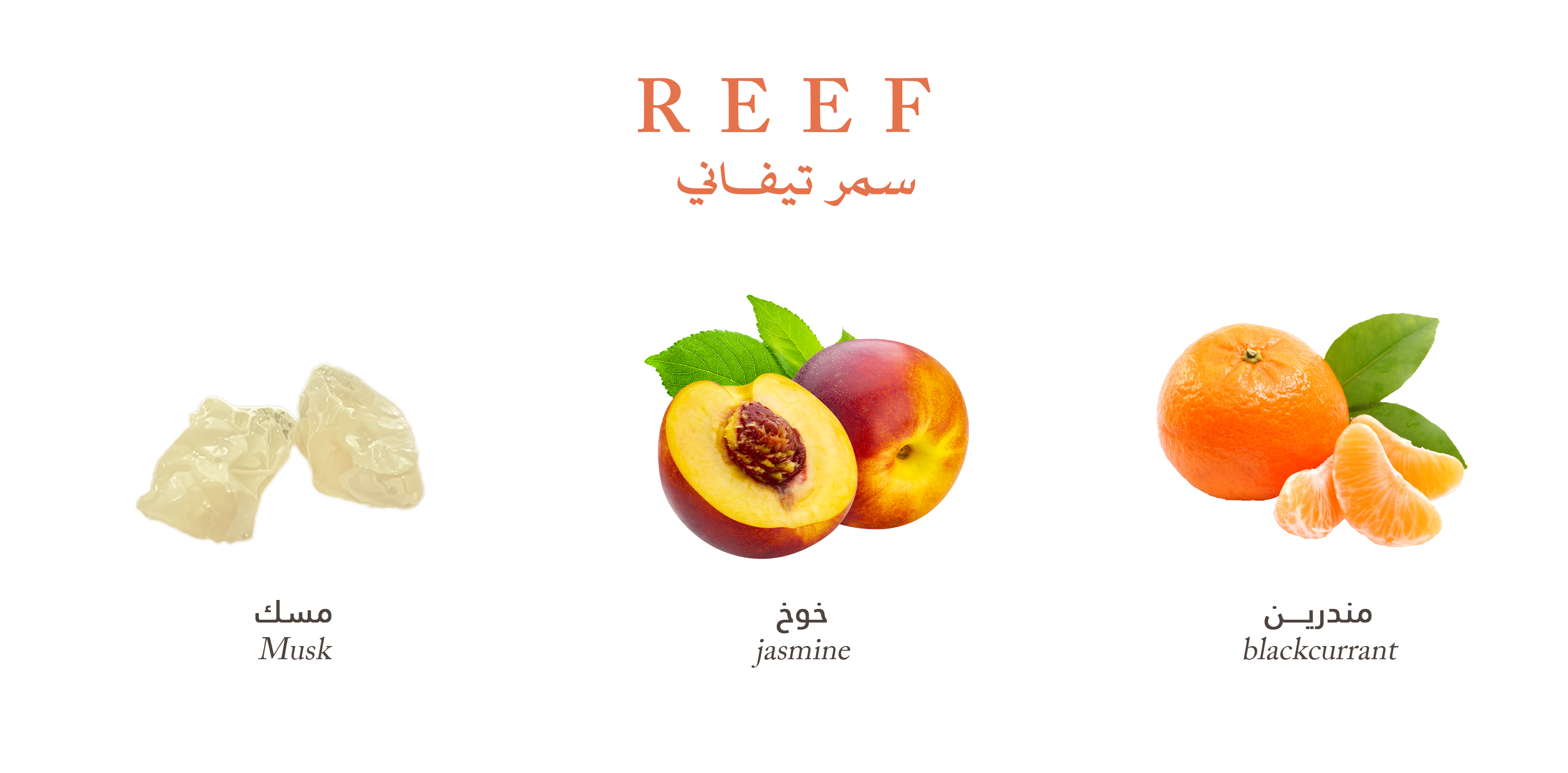 عطر سمر تيفاني 100مل من ريف