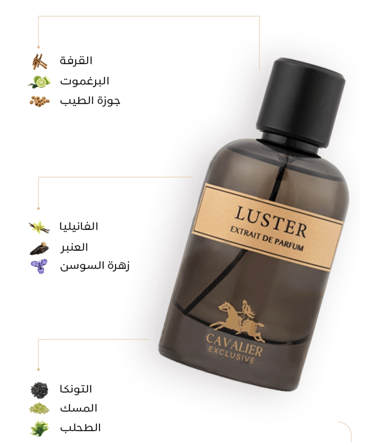 عطر لوستر 100مل من كافالير