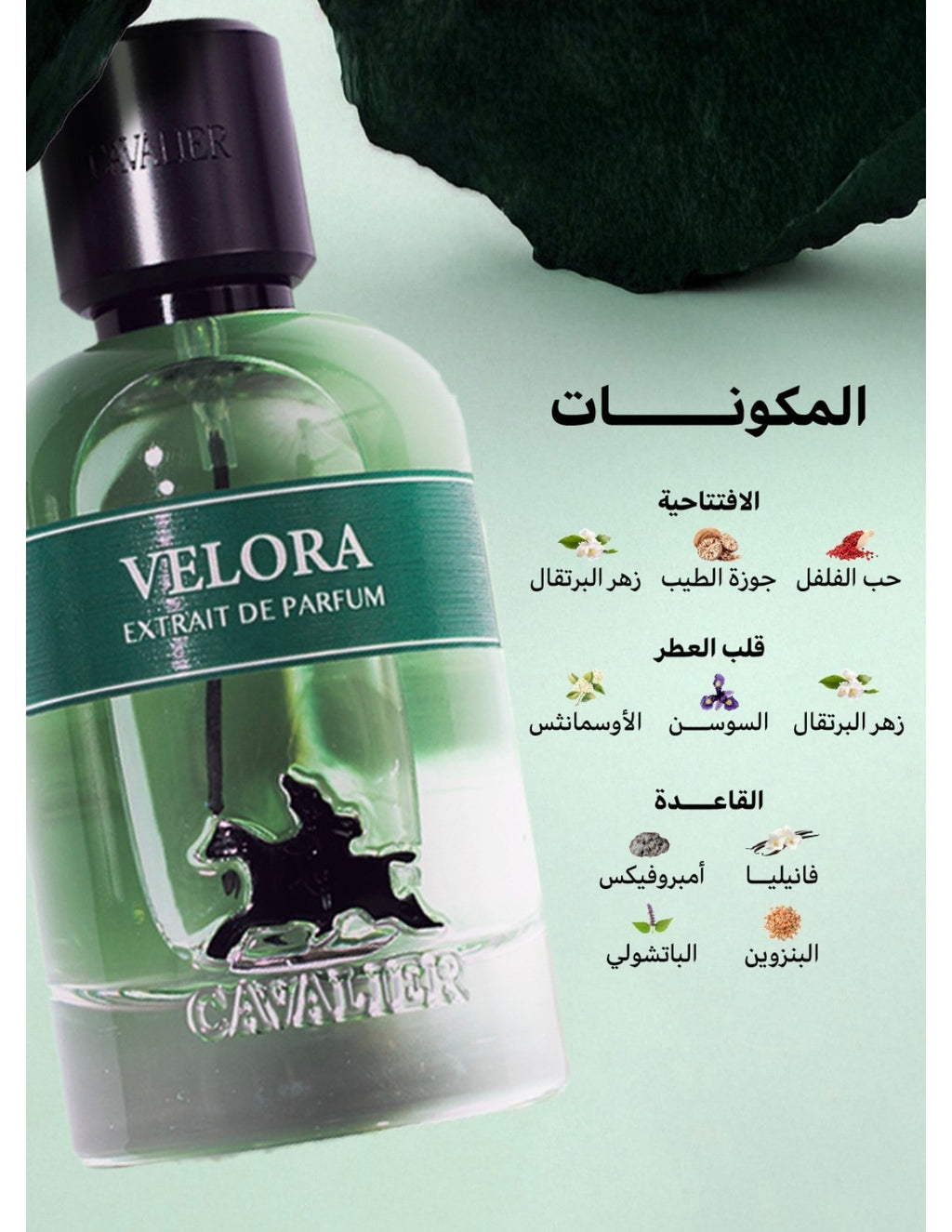 عطر فيلورا 100مل من كافالير