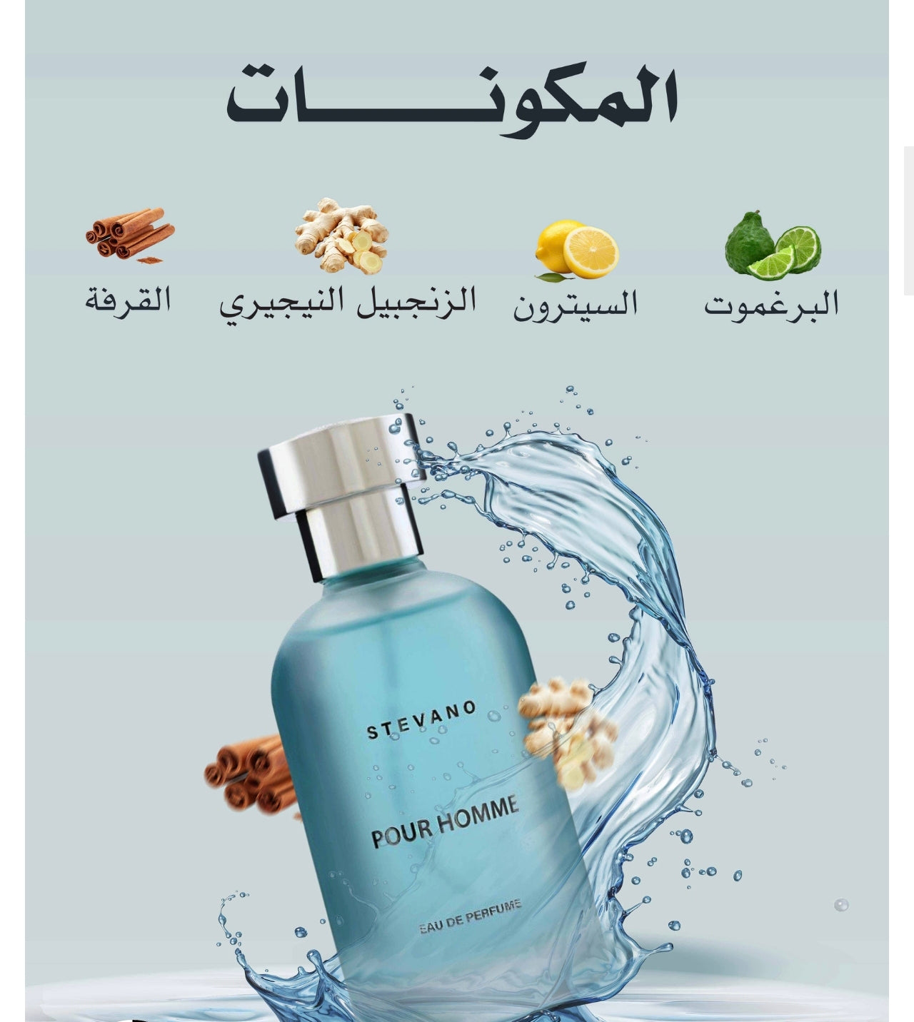 عطر بور هوم 100مل من ستيفانو
