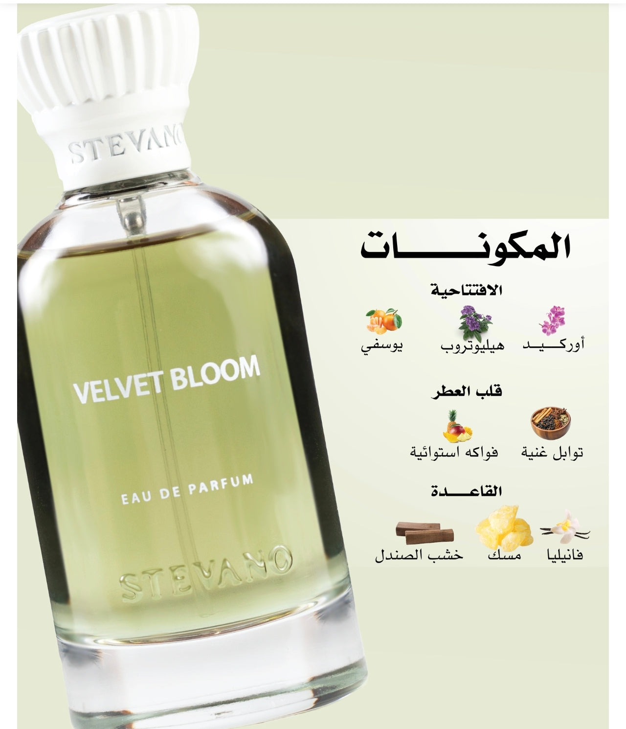 عطر فلفت بلوم 100مل من ستيفانو